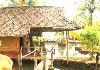 Kochuthuruthu - cottage